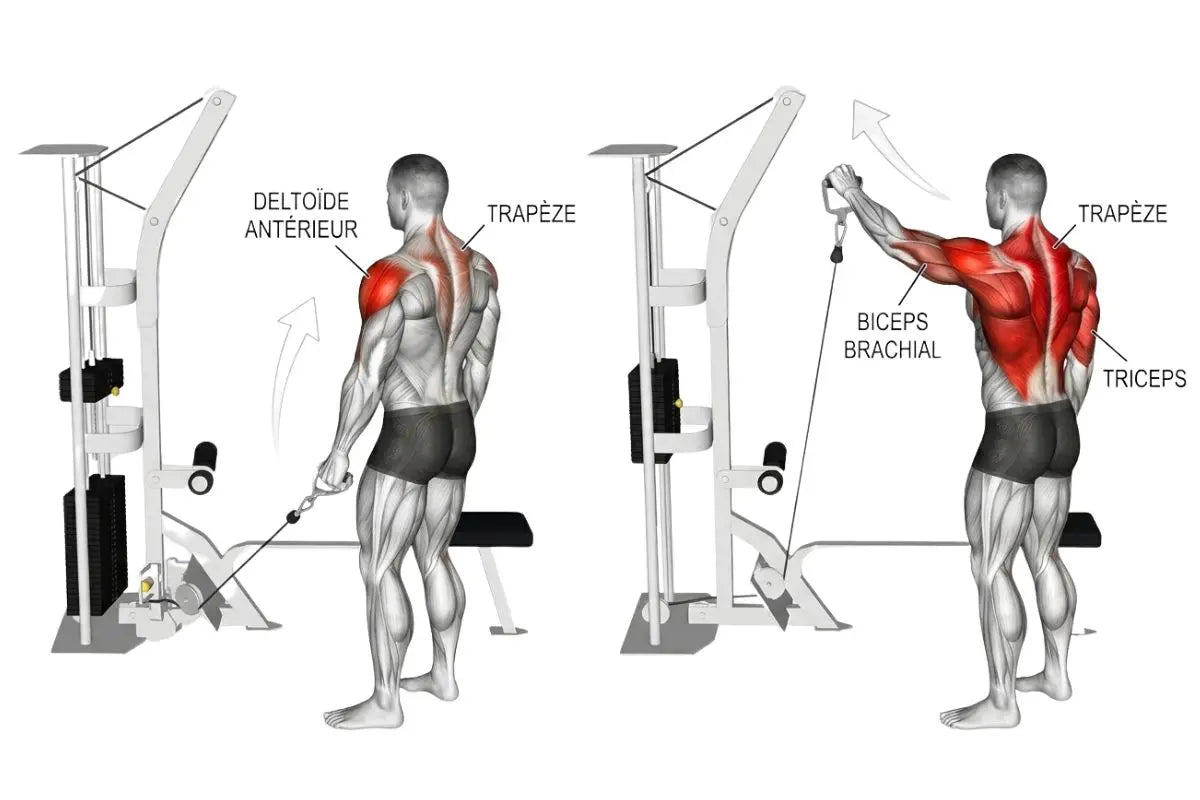 image montrant comment réaliser les élévations frontales pour muscler les épaules