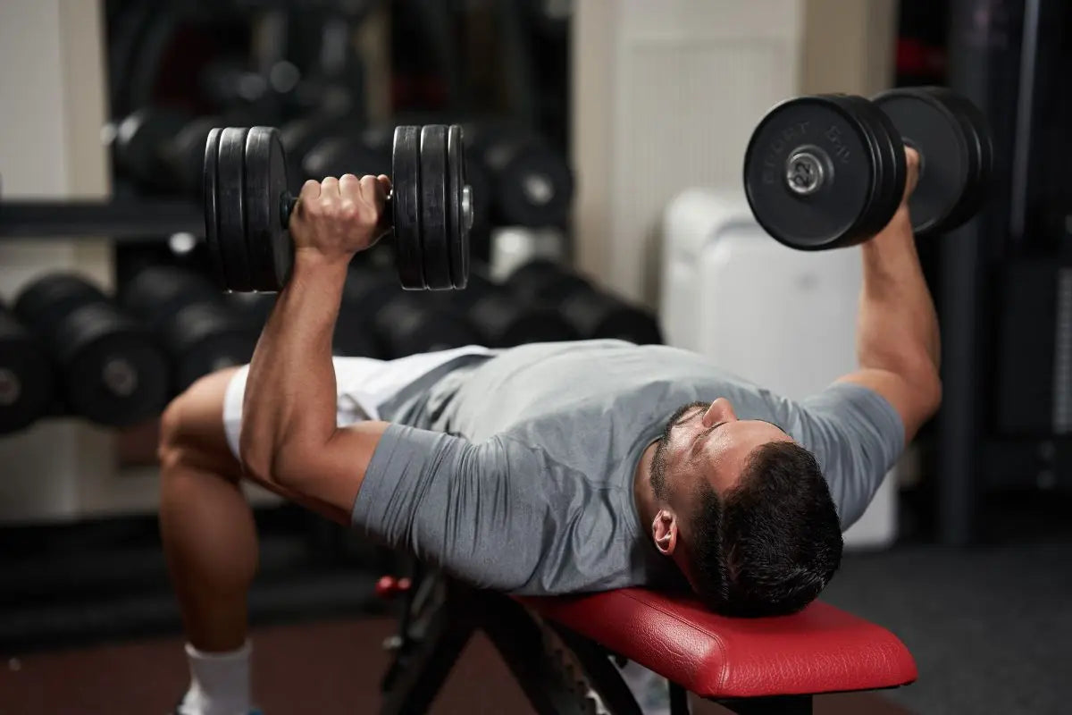 développé couché haltère banc musculation