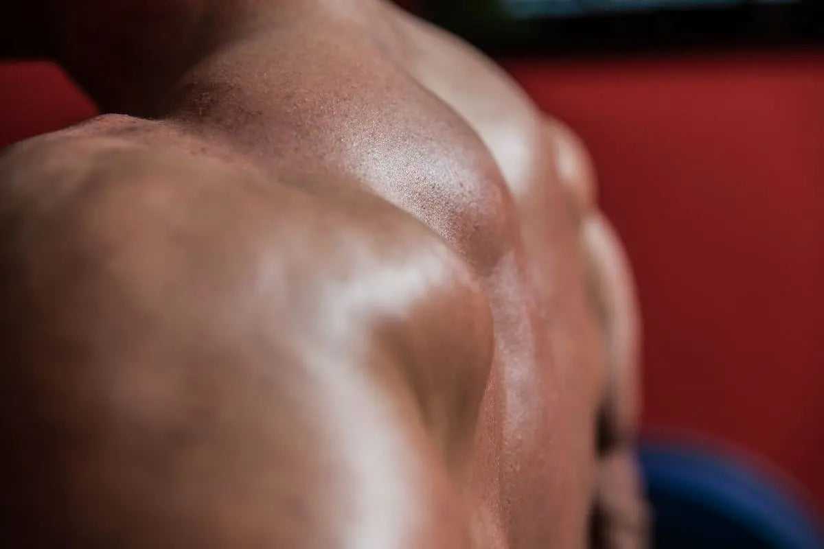 dos musclé homme salle de musculation