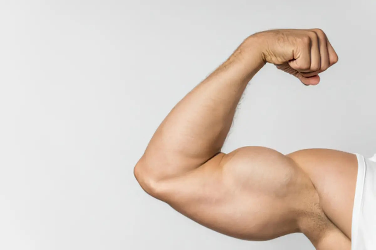 bras muscler grâce à des exercices faits à la maison