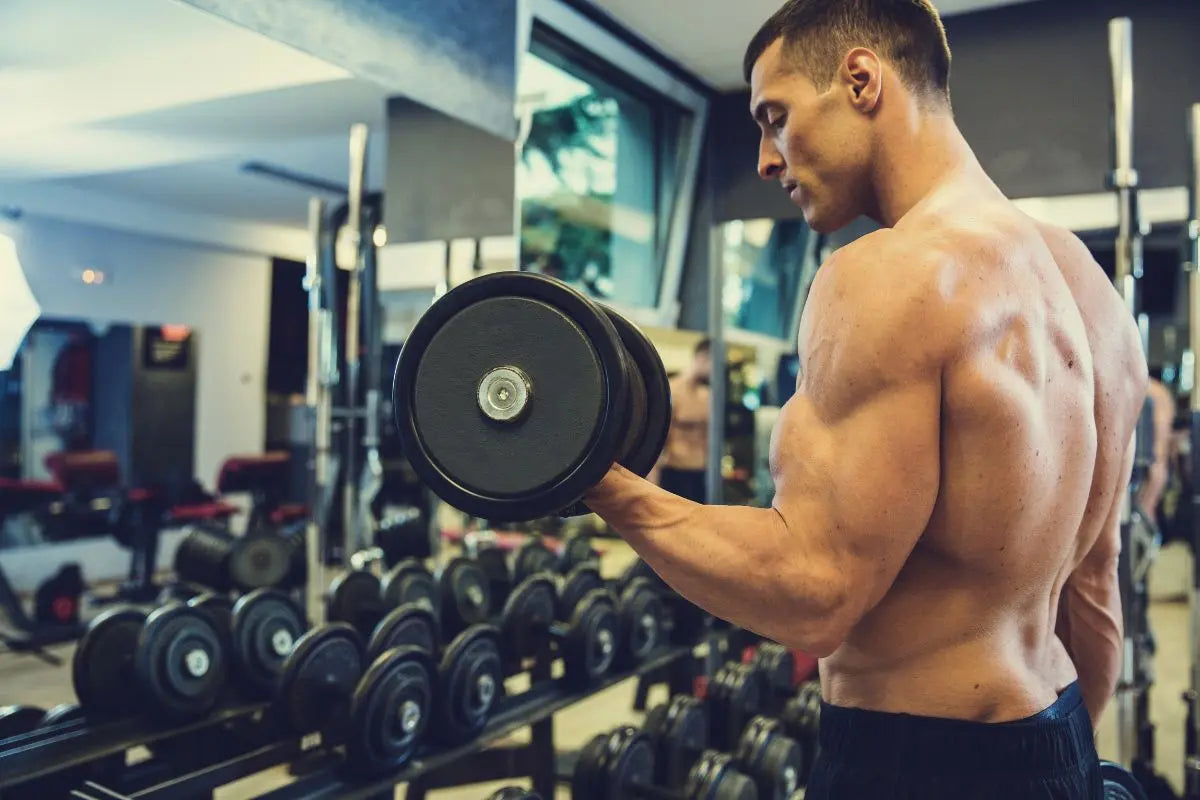 curl biceps aux haltères dans une salle de musculation