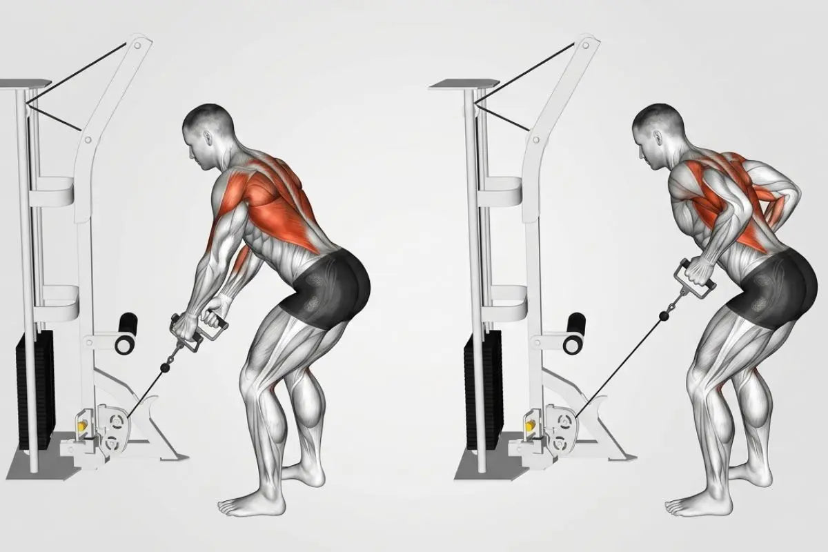 rowing poulie basse mouvement correct pour muscler le dos